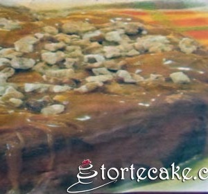Torta sa orasima